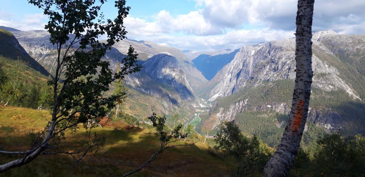 Stalheim Fjord Og Fjellhytter Dış mekan fotoğraf