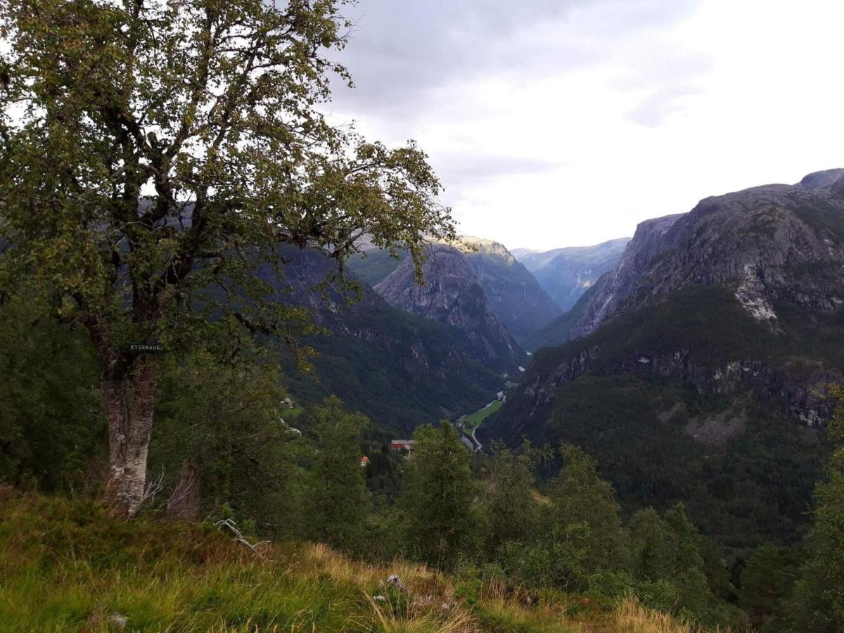 Stalheim Fjord Og Fjellhytter Dış mekan fotoğraf