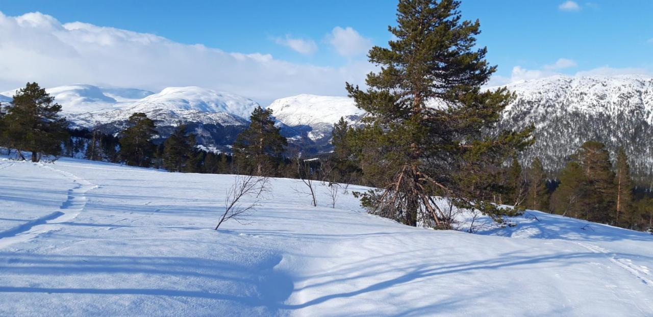 Stalheim Fjord Og Fjellhytter Dış mekan fotoğraf