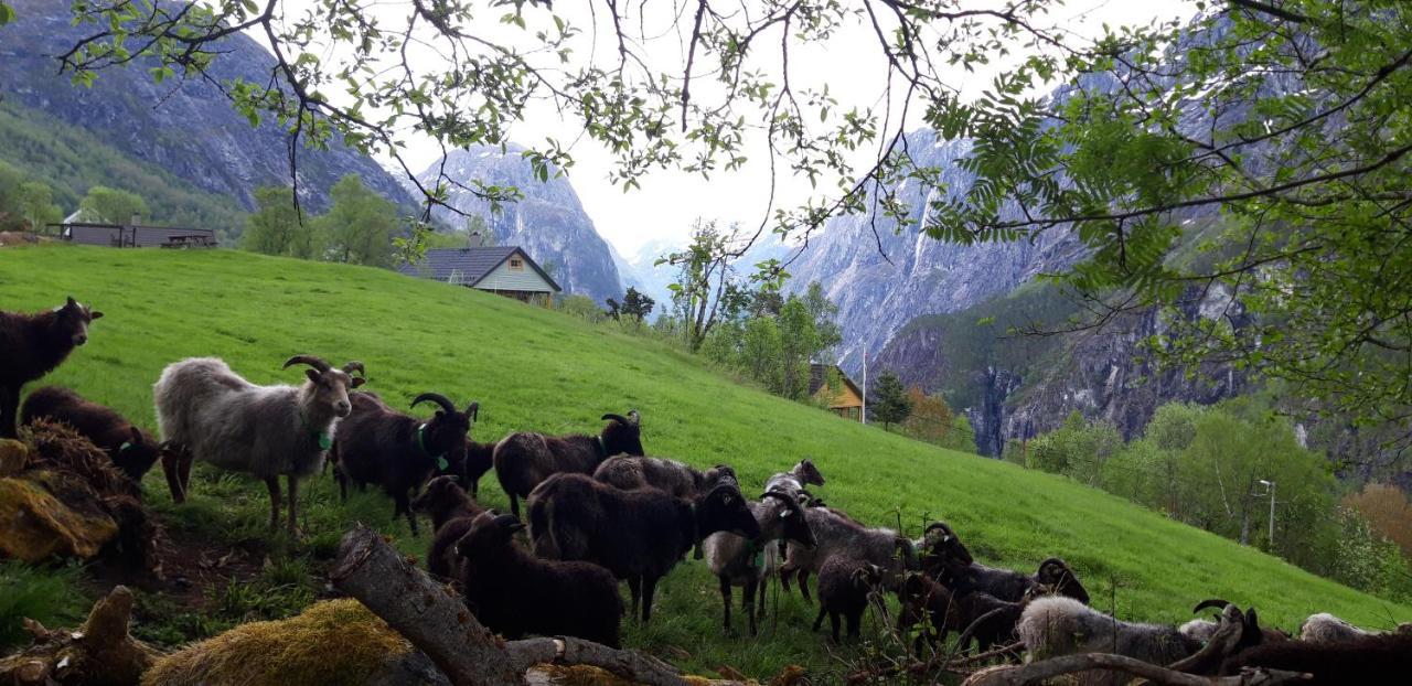 Stalheim Fjord Og Fjellhytter Dış mekan fotoğraf