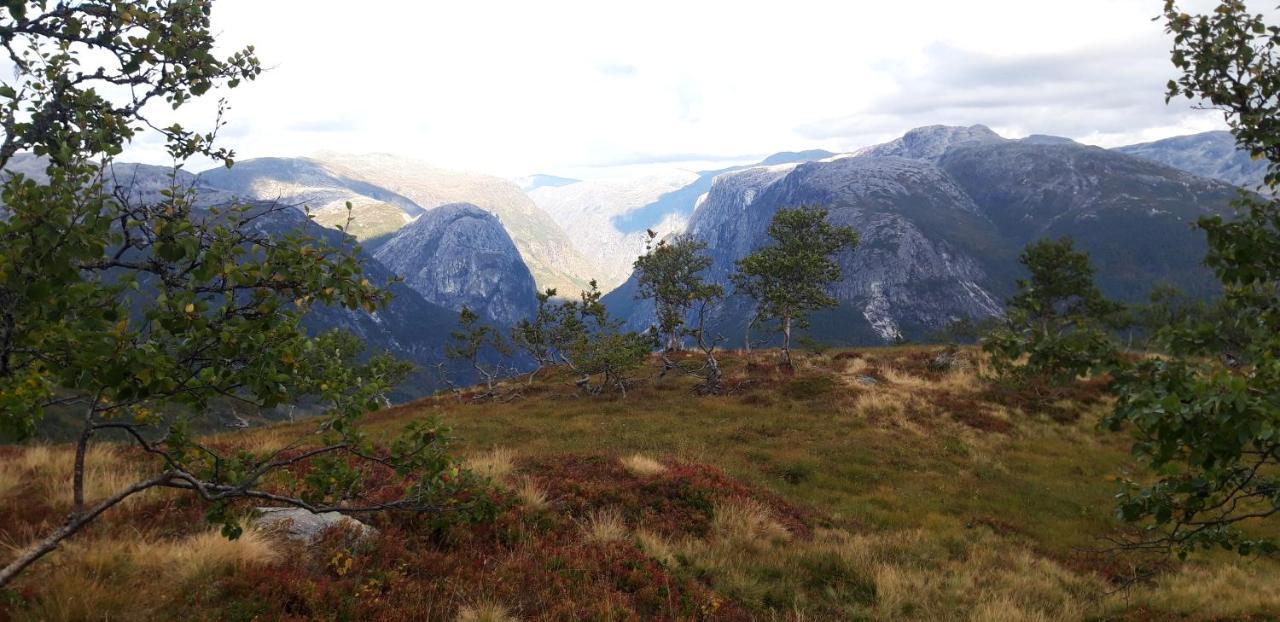 Stalheim Fjord Og Fjellhytter Dış mekan fotoğraf